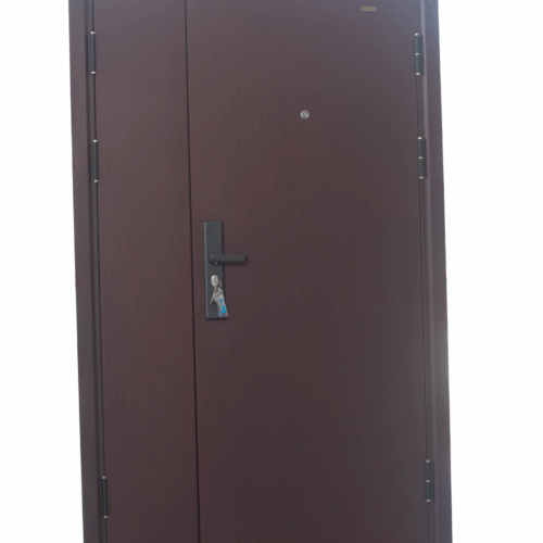 PORTE BLINDEE  205x120