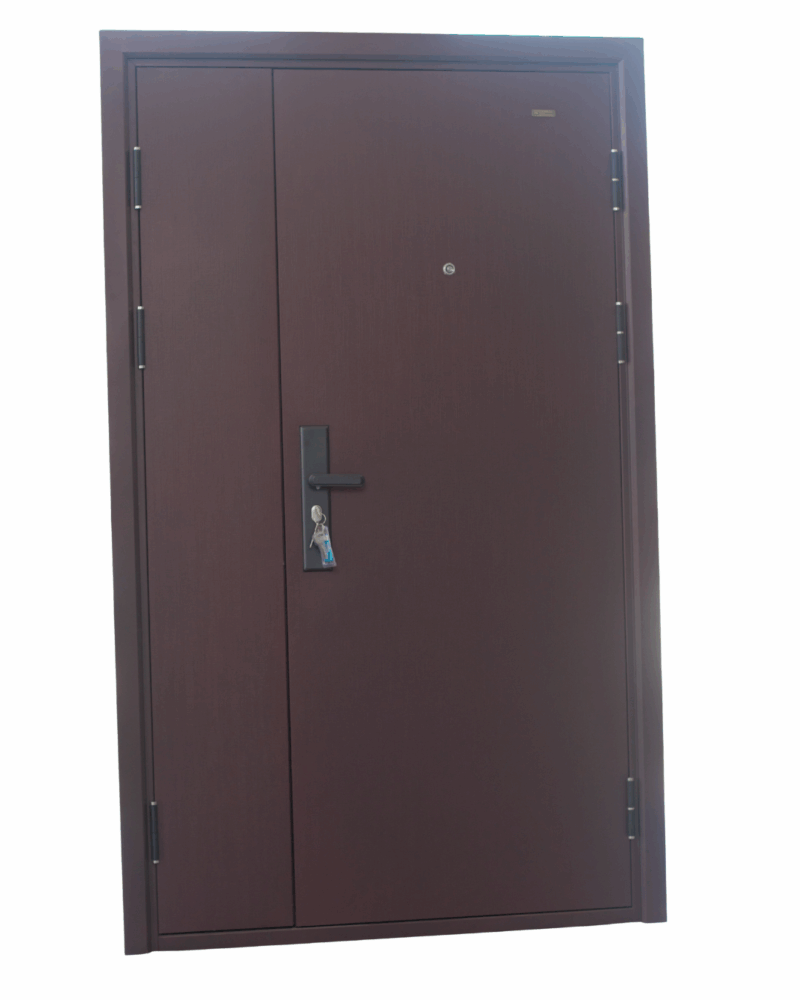 57 PORTE BLINDEE 205x120